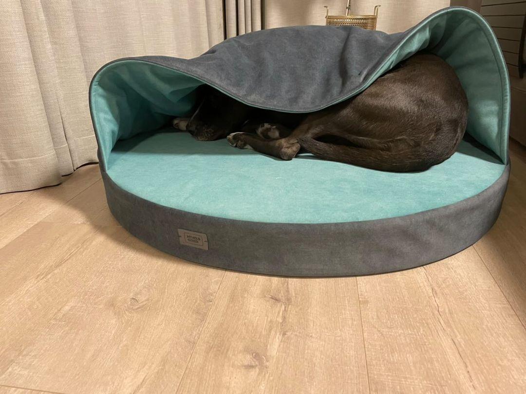 Cozy cave dog bed | GREY+MINT - premium dog goods handmade in Europe by animalistus
