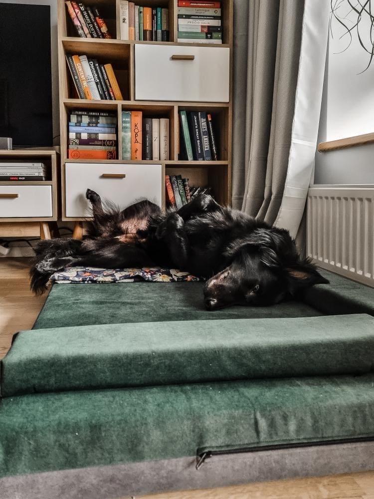 Transformer dog bed | ComfySupport+ | 2-sided | MOSS GREEN+STEEL GREY | animalistus