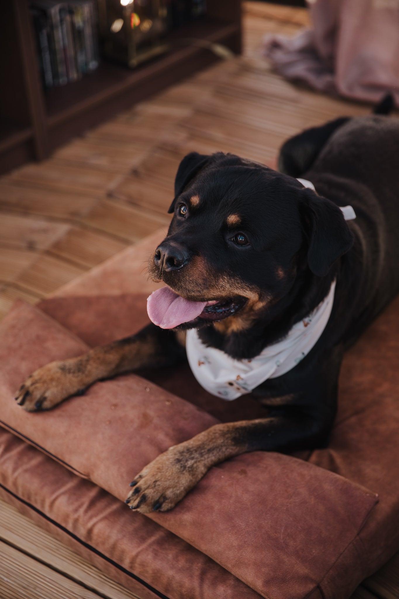 2-sided extra large & supportive leather dog bed. TAWNY BROWN - premium dog goods handmade in Europe by My Wild Other