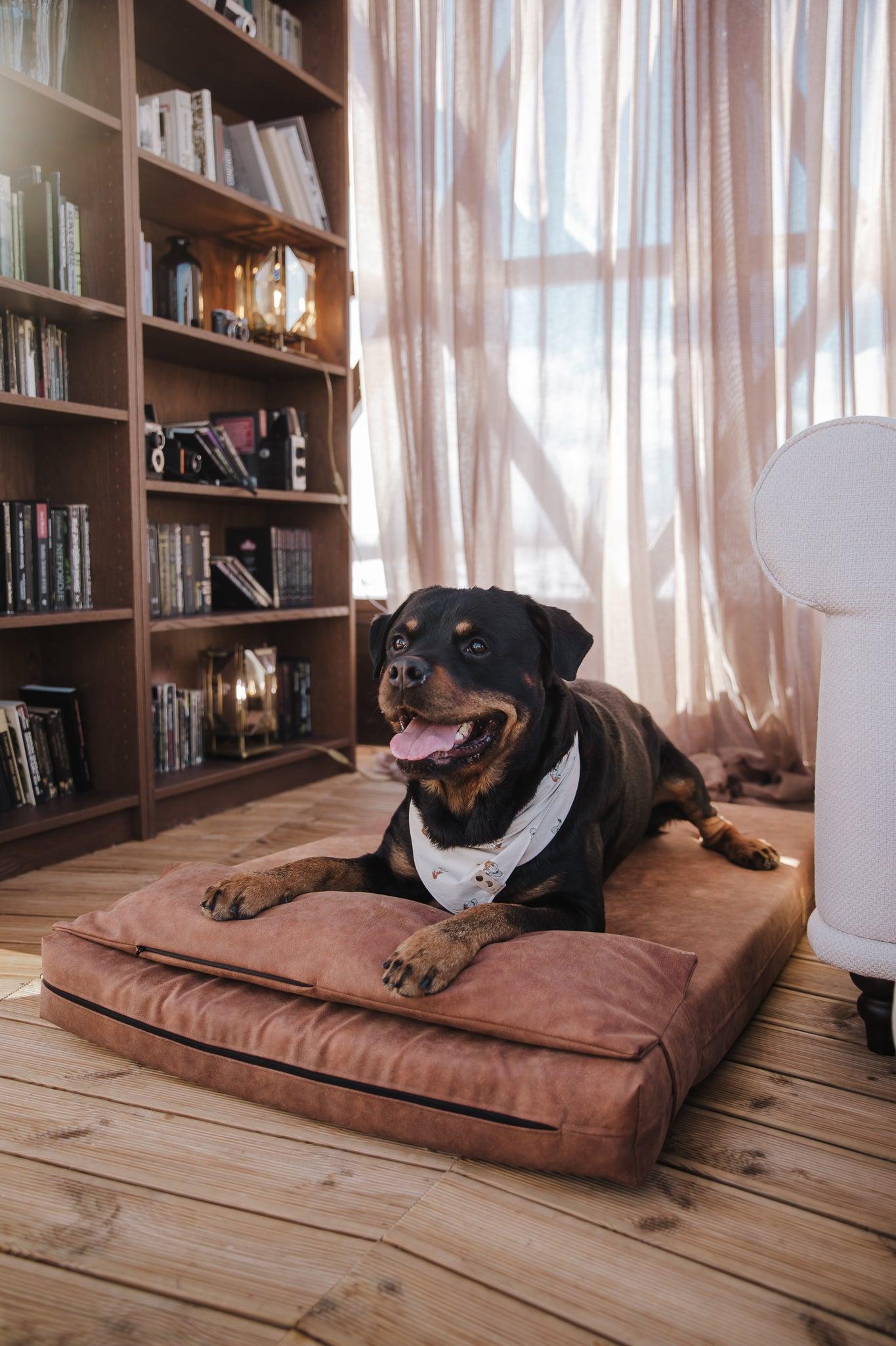 2-sided extra large & supportive leather dog bed. TAWNY BROWN - premium dog goods handmade in Europe by My Wild Other
