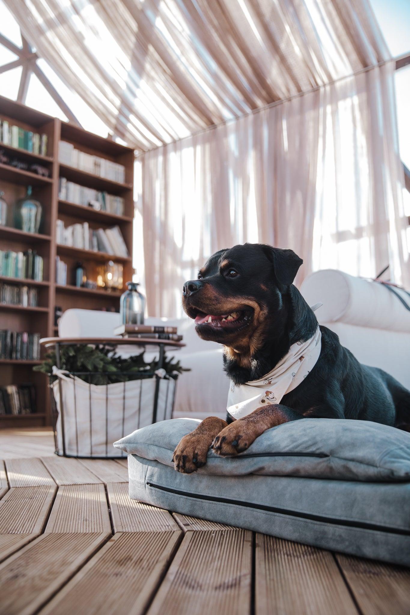 Dog's bedroom bed | ComfySupport+ | 2-sided | METAL GREY | animalistus