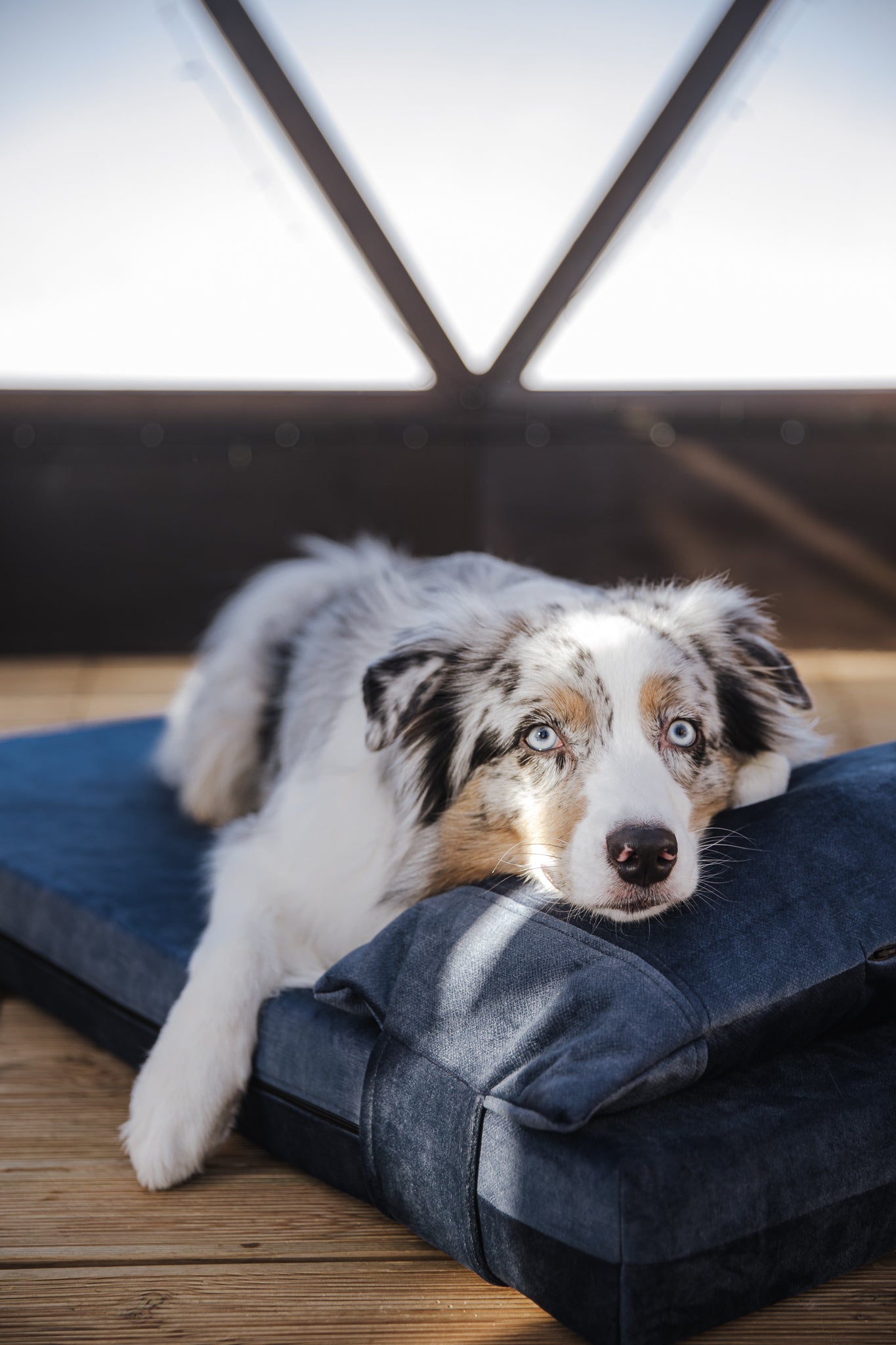 Dog bed for large dogs | Extra comfort & support | 2-sided | SKY BLUE - premium dog goods handmade in Europe by animalistus