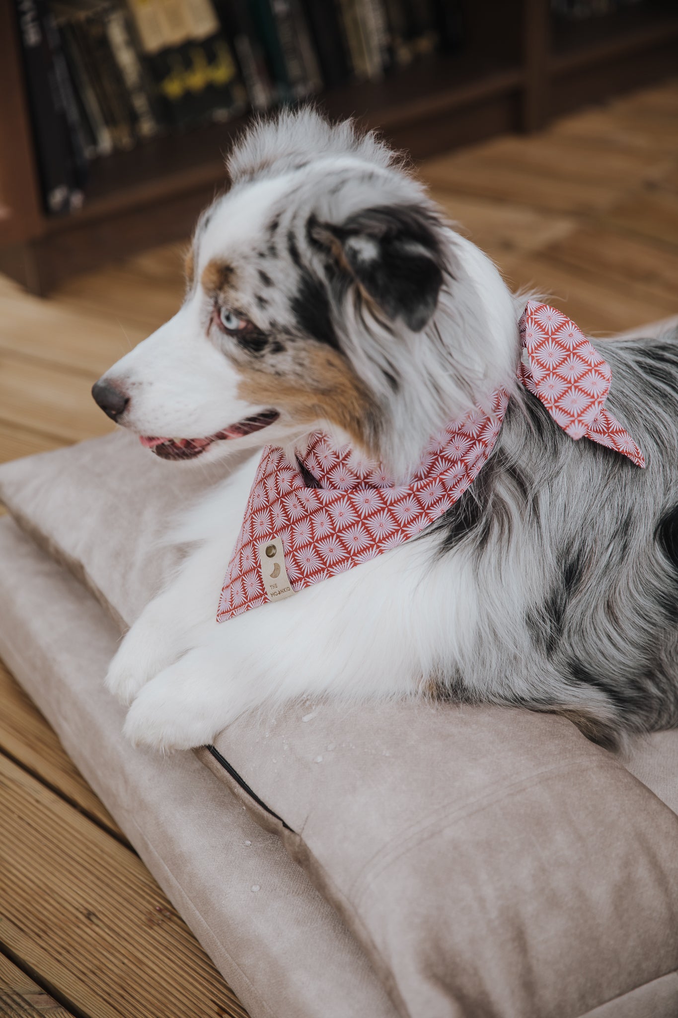 Dog bed for large dogs | Extra comfort & support | 2-sided | BEIGE - premium dog goods handmade in Europe by My Wild Other