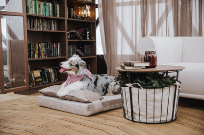 2-sided extra large & supportive dog bed. BEIGE - premium dog goods handmade in Europe by My Wild Other