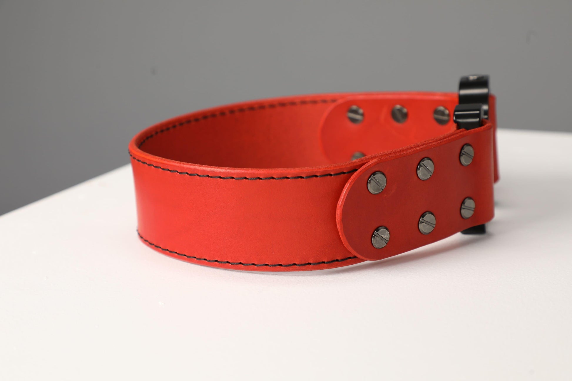 Red leather dog collar with COBRA® buckle - premium dog goods handmade in Europe by My Wild Other