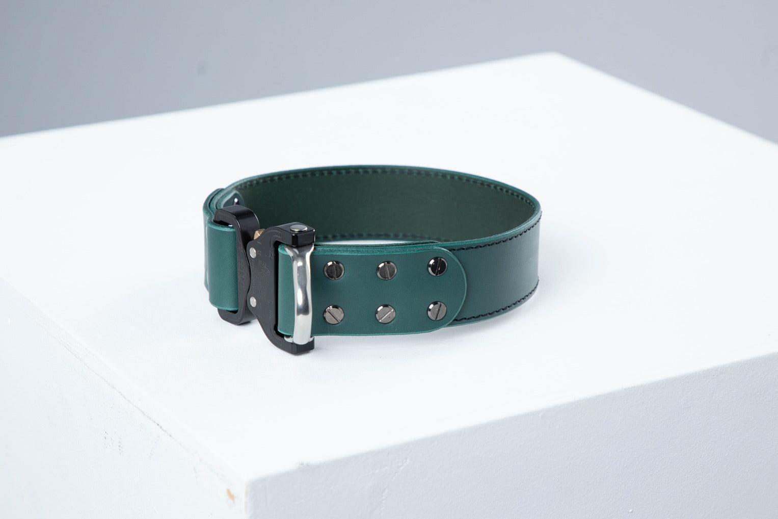 Green leather dog collar with COBRA® buckle | animalistus