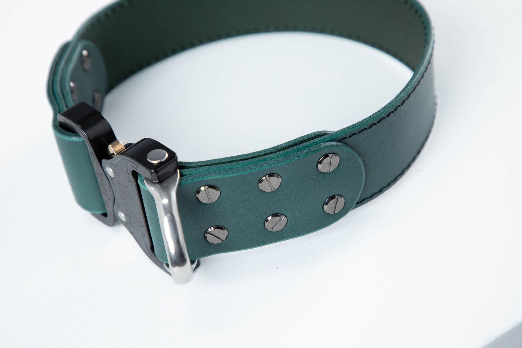 Green leather dog collar with COBRA® buckle | animalistus