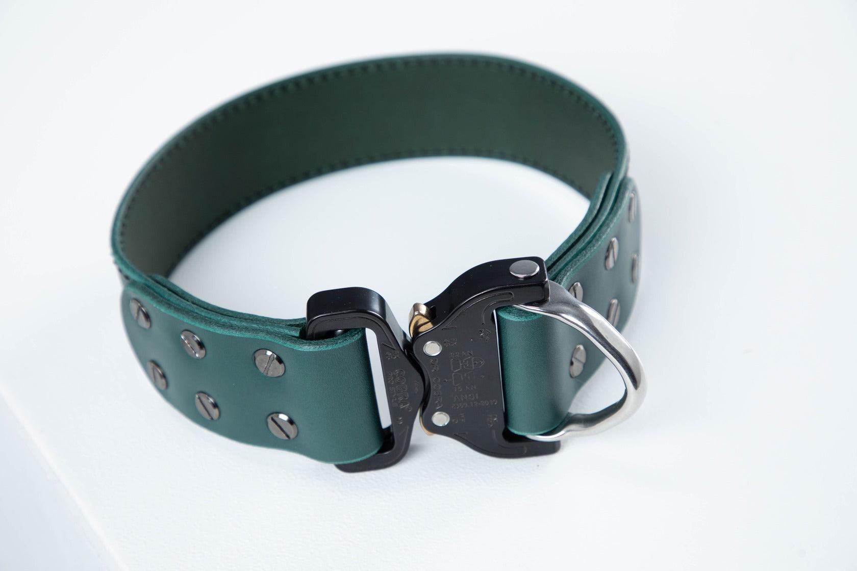 Green leather dog collar with COBRA® buckle | animalistus