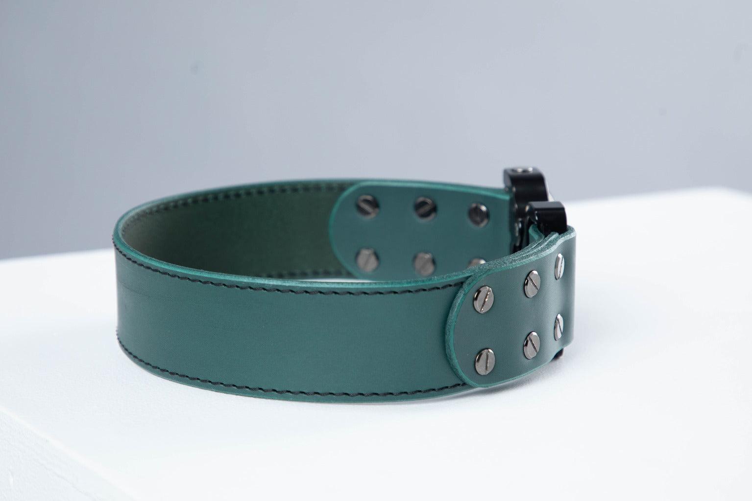 Green leather dog collar with COBRA® buckle - premium dog goods handmade in Europe by My Wild Other