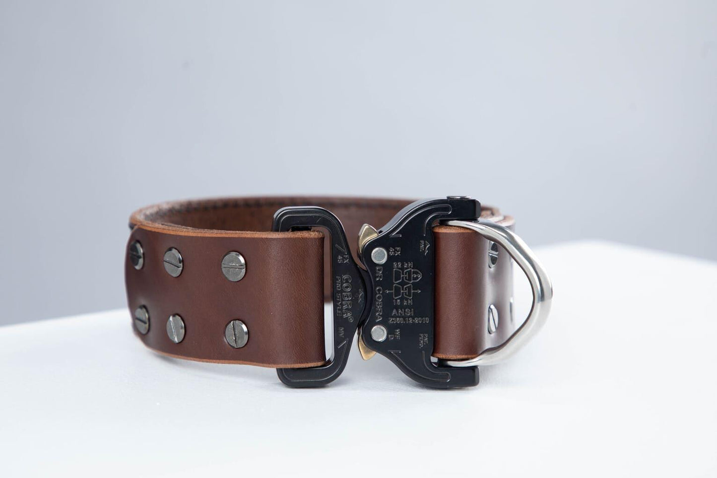 Brown leather dog collar with COBRA® buckle - premium dog goods handmade in Europe by My Wild Other