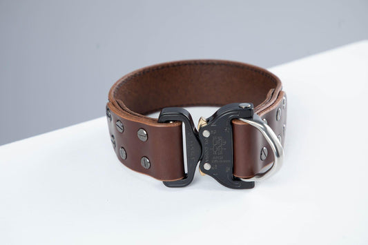 Brown leather dog collar with COBRA® buckle - premium dog goods handmade in Europe by My Wild Other