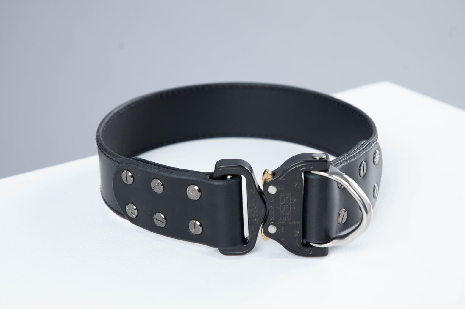 Black leather dog collar with COBRA® buckle | animalistus