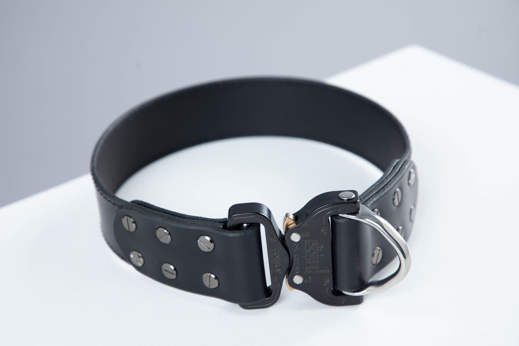 Black leather dog collar with COBRA® buckle | animalistus