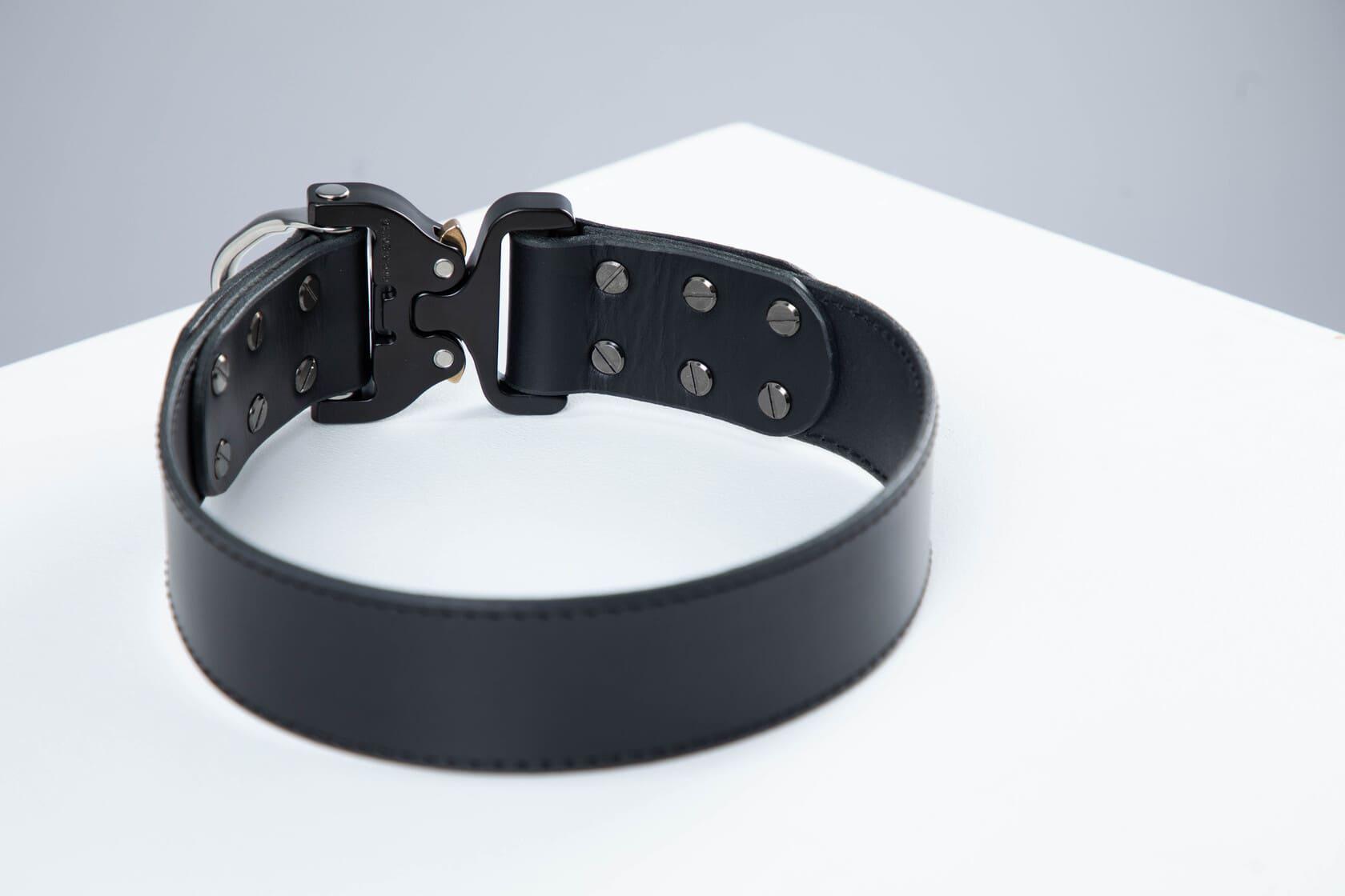 Black leather dog collar with COBRA® buckle | animalistus