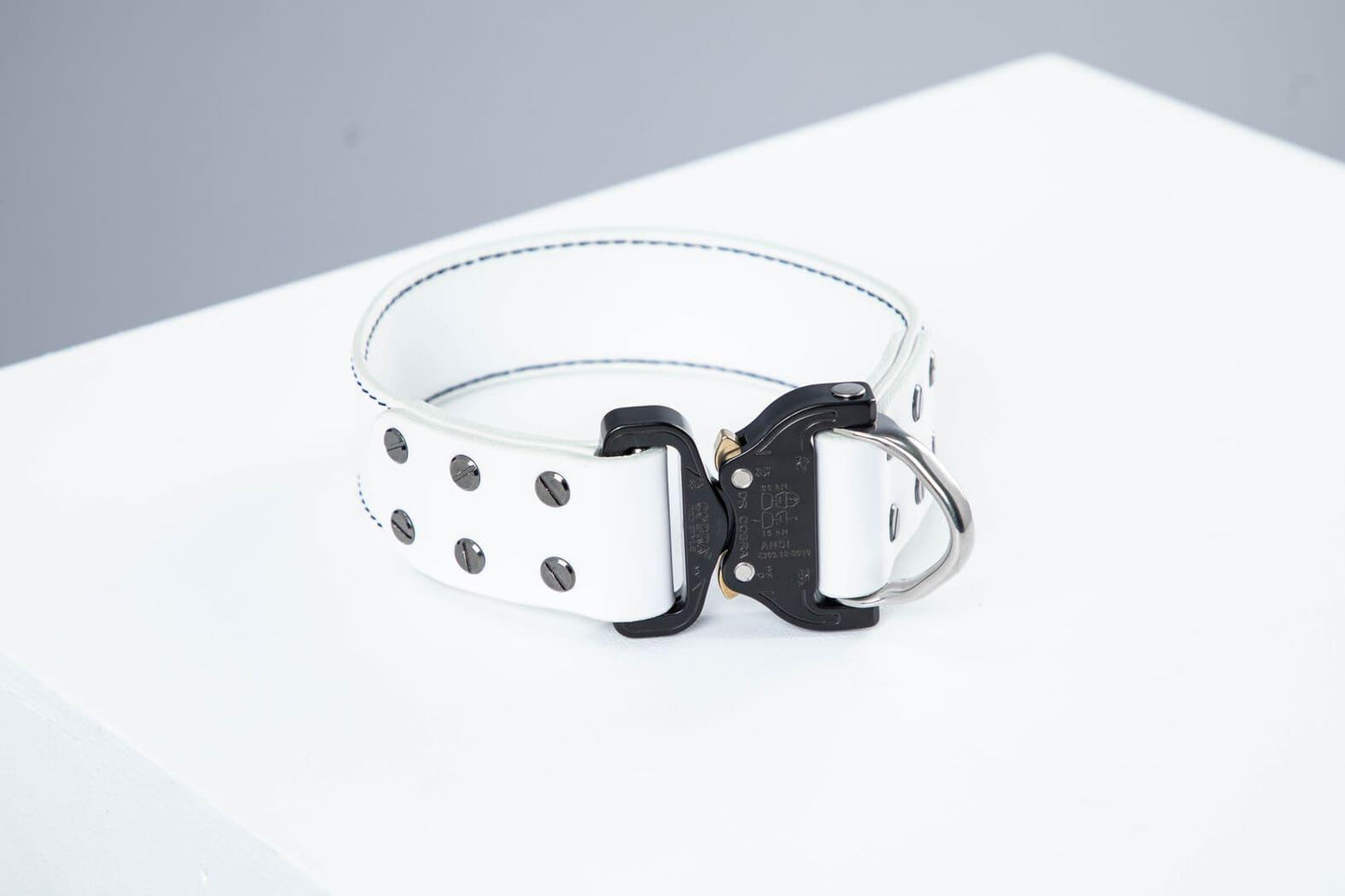 White leather dog collar with COBRA® buckle - premium dog goods handmade in Europe by My Wild Other