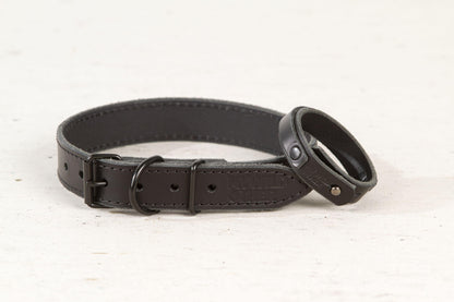 Handmade black leather dog collar | animalistus