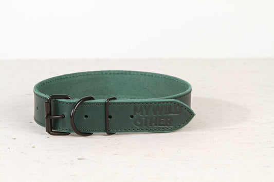 Handmade green leather dog collar - premium dog goods handmade in Europe by animalistus