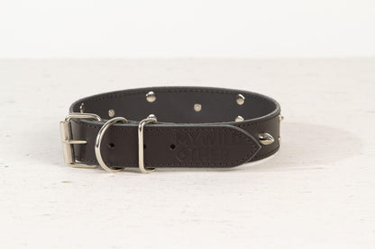 Handmade black leather STUDDED dog collar - premium dog goods handmade in Europe by My Wild Other