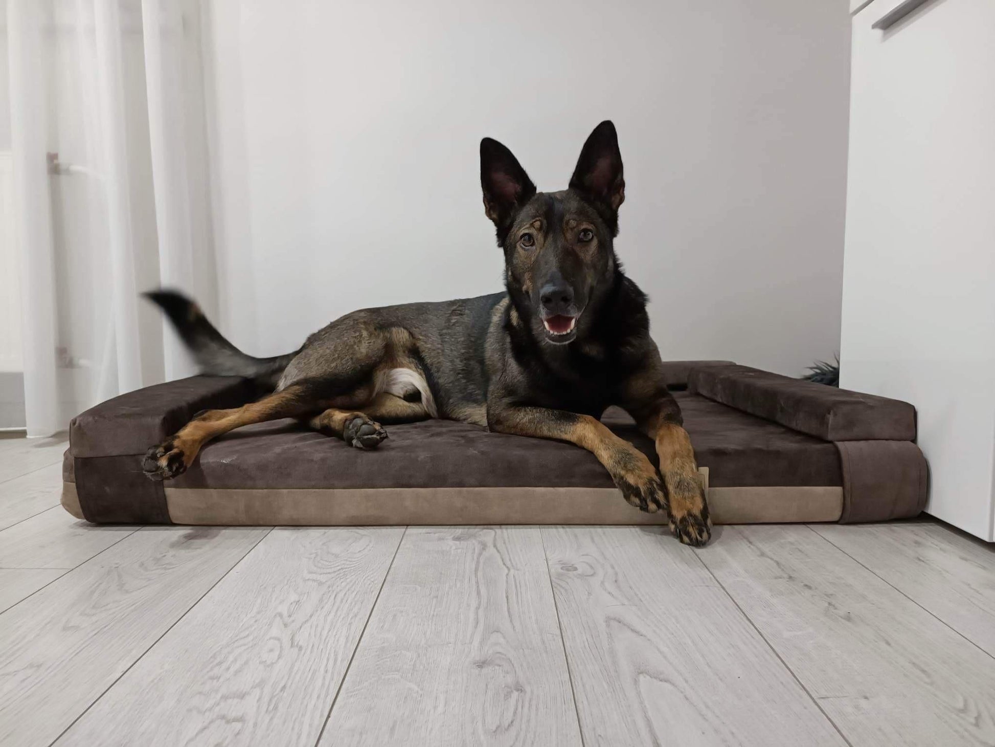 2-sided transformer dog bed. BEIGE+TAUPE - premium dog goods handmade in Europe by My Wild Other