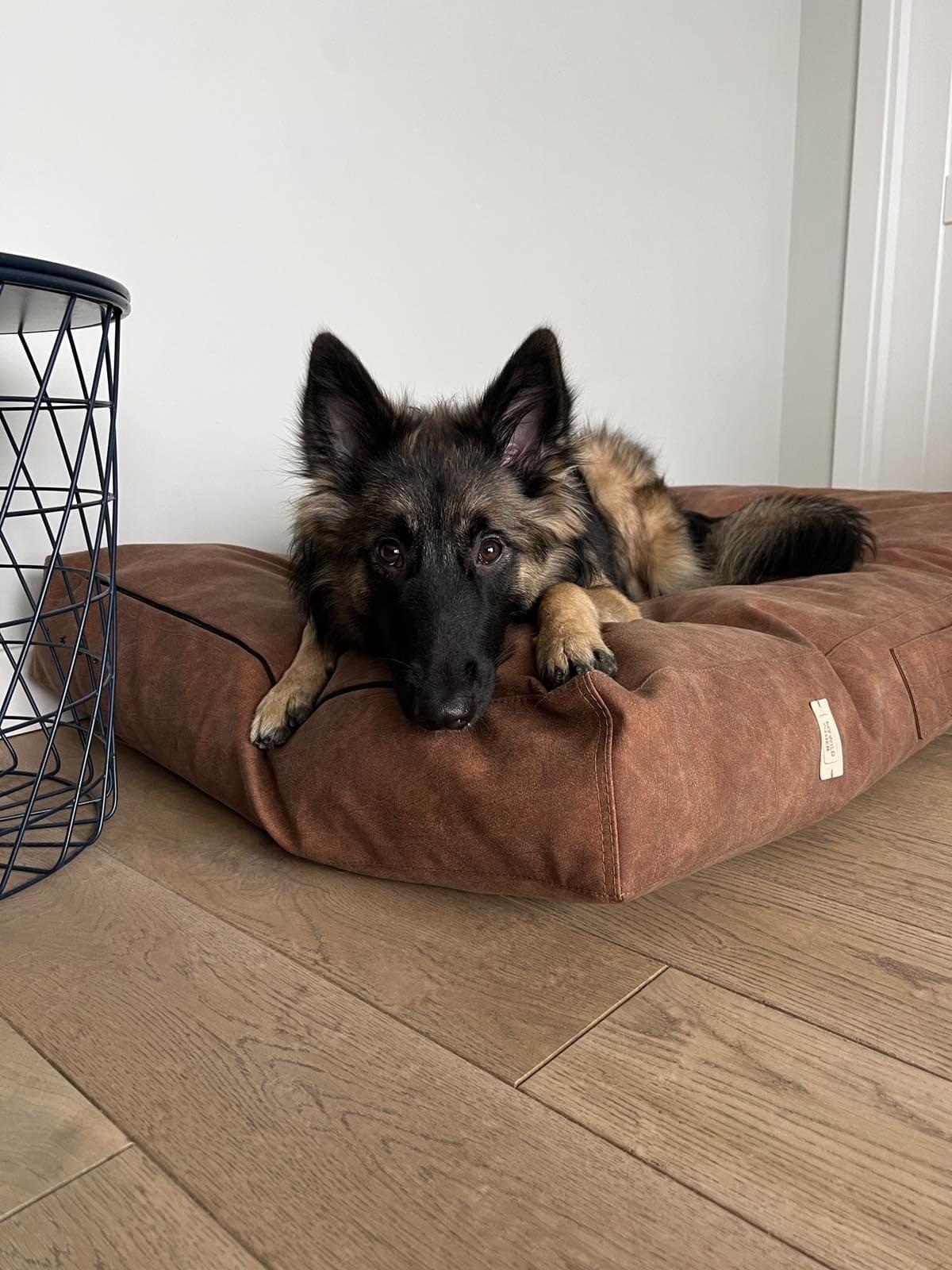 2-sided leather dog cushion bed. TAWNY BROWN - premium dog goods handmade in Europe by My Wild Other
