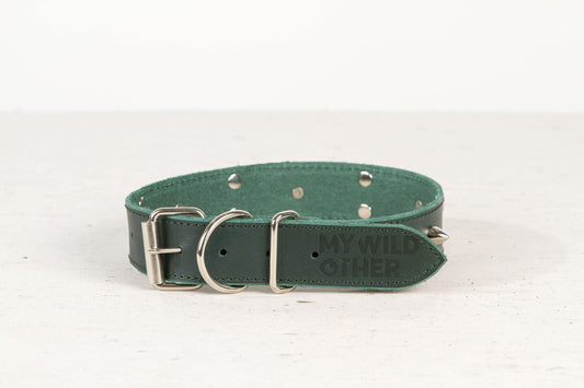 Handmade green leather STUDDED dog collar - premium dog goods handmade in Europe by animalistus