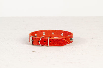 Handmade red leather STUDDED dog collar | animalistus