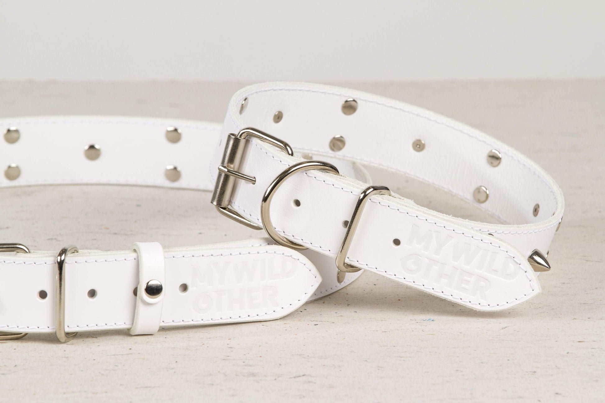 Handmade white leather STUDDED dog collar | animalistus