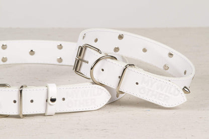 Handmade white leather STUDDED dog collar | animalistus