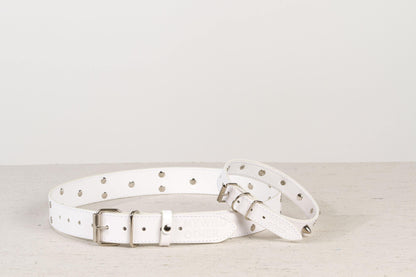 Handmade white leather STUDDED dog collar | animalistus