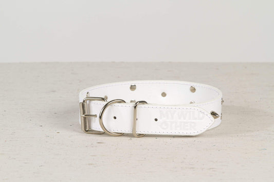 Handmade white leather STUDDED dog collar - premium dog goods handmade in Europe by animalistus