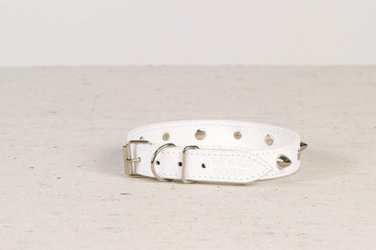 Handmade white leather STUDDED dog collar | animalistus