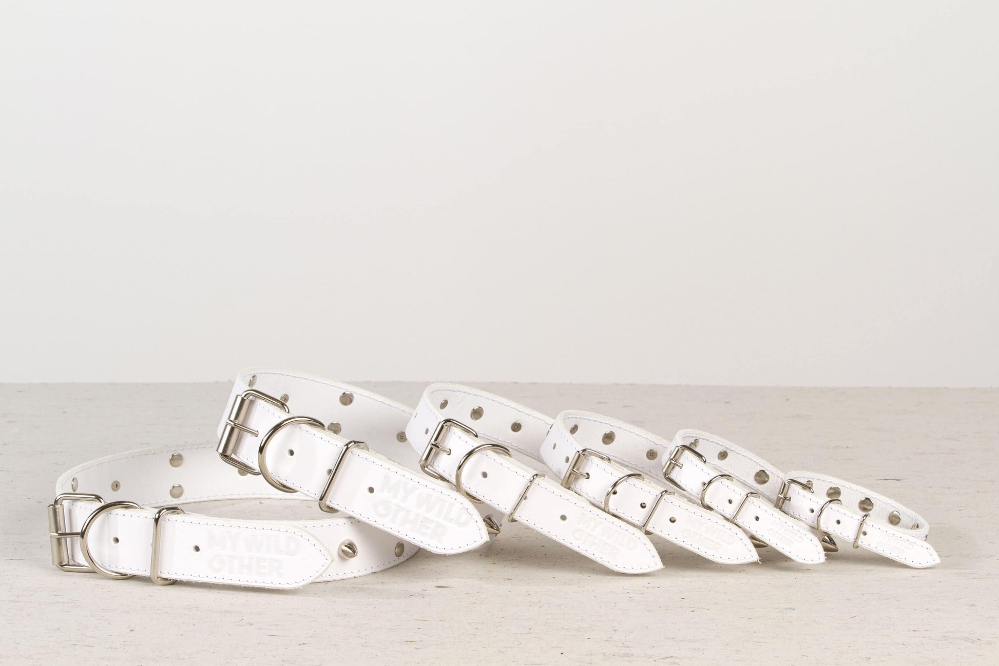 Handmade white leather STUDDED dog collar | animalistus