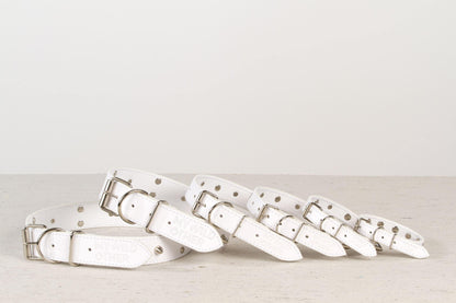 Handmade white leather STUDDED dog collar | animalistus