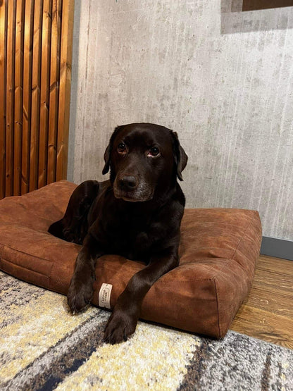 2-sided leather dog cushion bed. TAWNY BROWN - premium dog goods handmade in Europe by My Wild Other