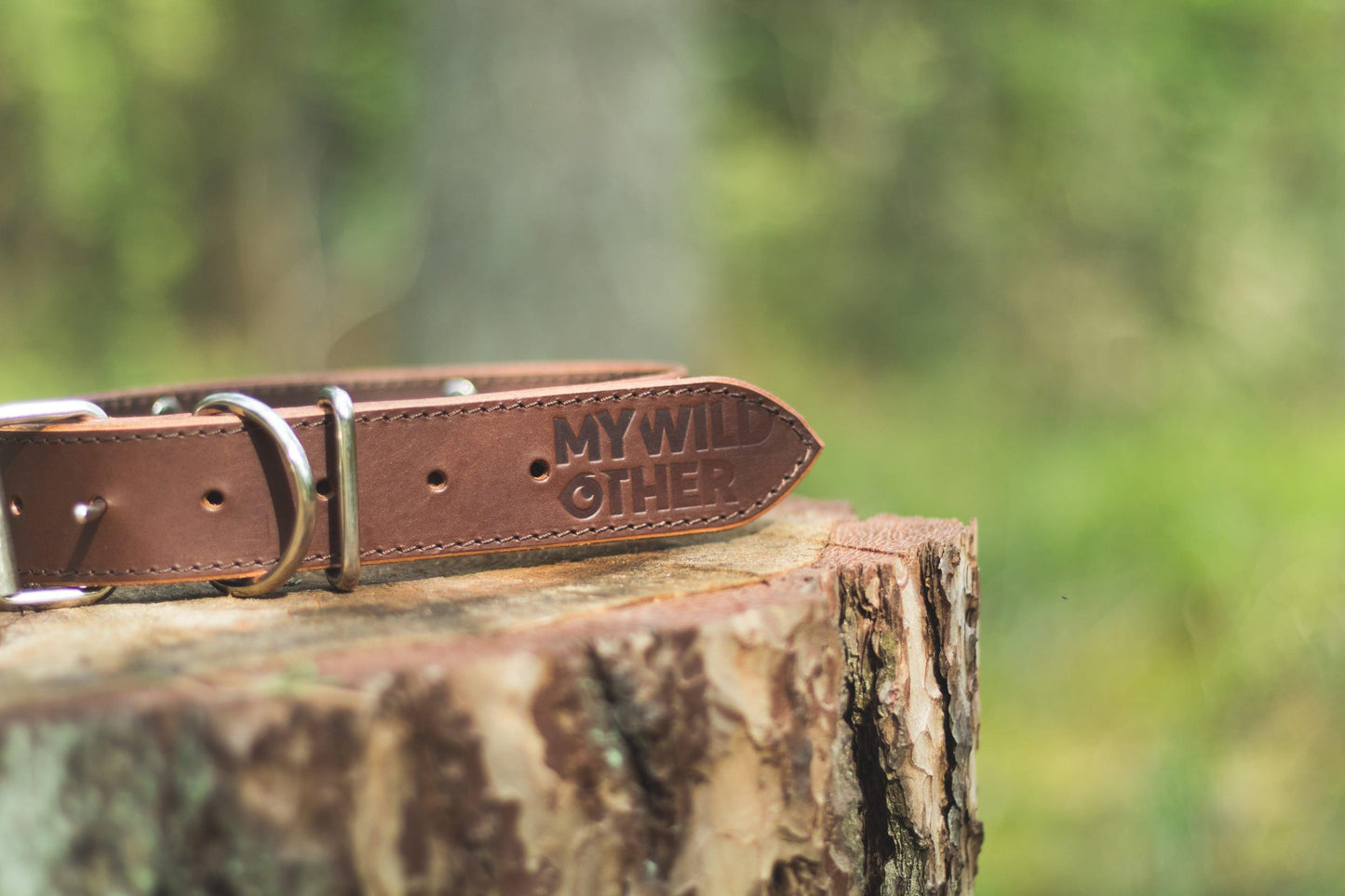 Handmade brown leather STUDDED dog collar - premium dog goods handmade in Europe by My Wild Other