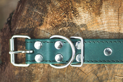 Handmade green leather STUDDED dog collar - premium dog goods handmade in Europe by My Wild Other