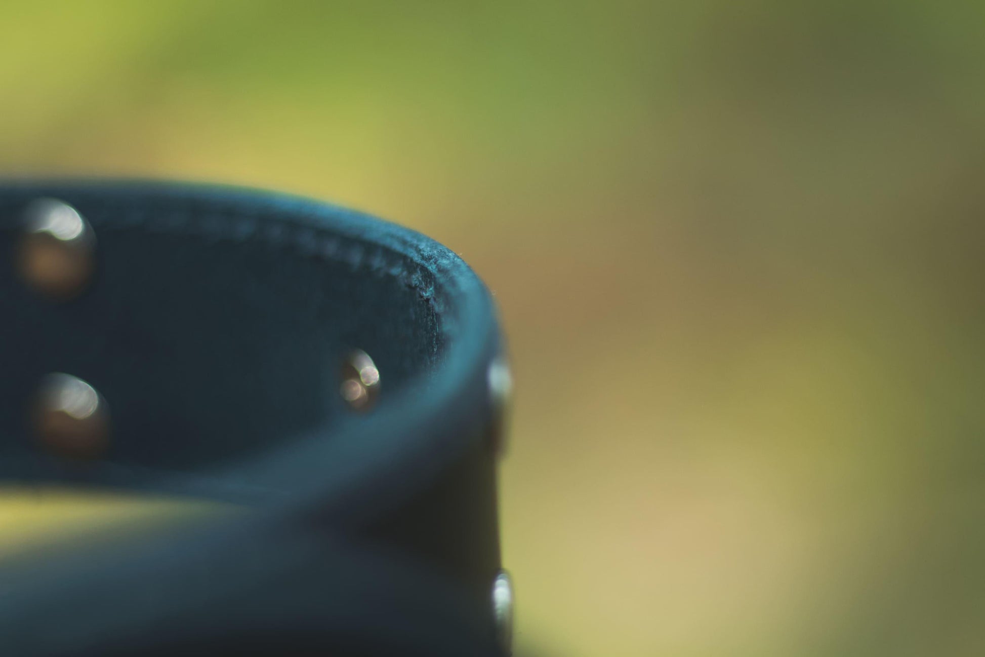 Handmade blue leather STUDDED dog collar - premium dog goods handmade in Europe by animalistus