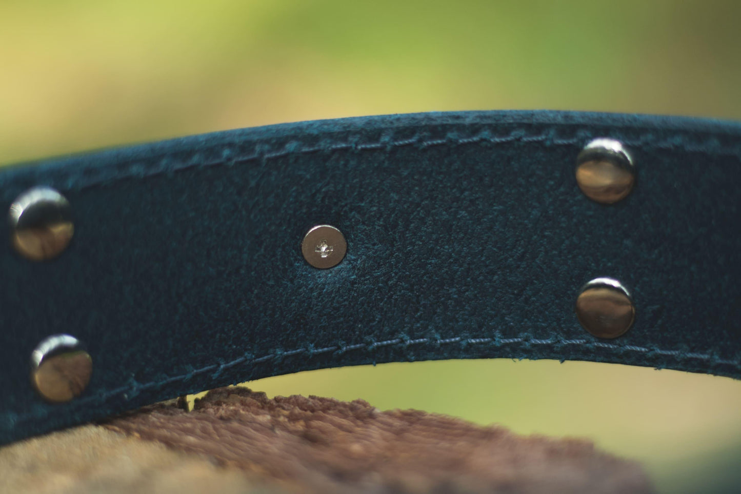 Handmade blue leather STUDDED dog collar - premium dog goods handmade in Europe by animalistus