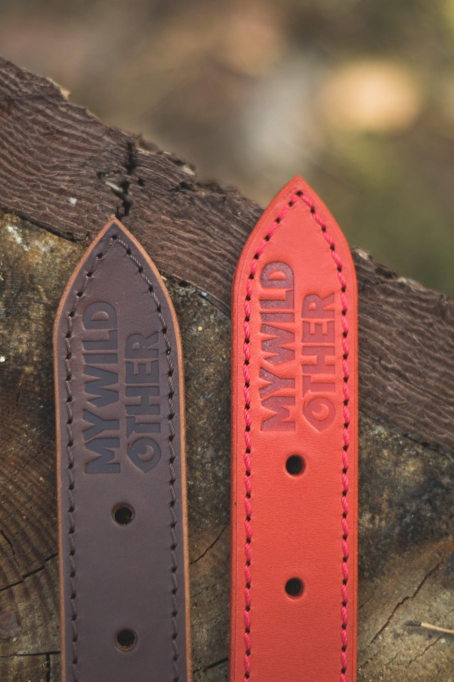 Handmade red leather STUDDED dog collar - premium dog goods handmade in Europe by My Wild Other