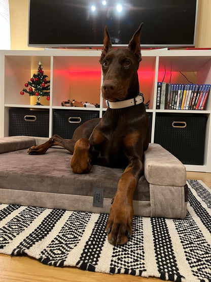 2-sided transformer dog bed. BEIGE+TAUPE - premium dog goods handmade in Europe by My Wild Other
